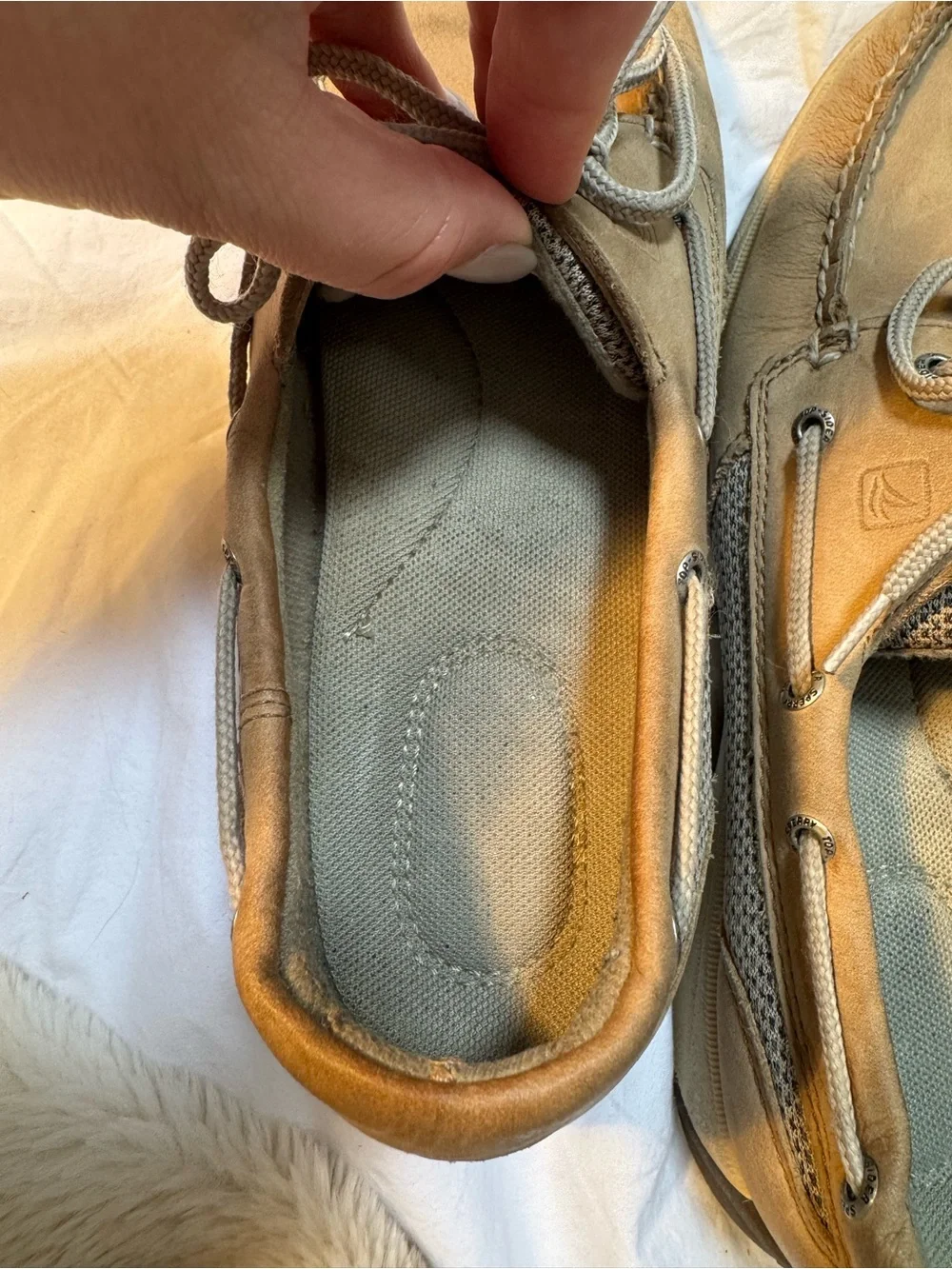 Sperry classic top